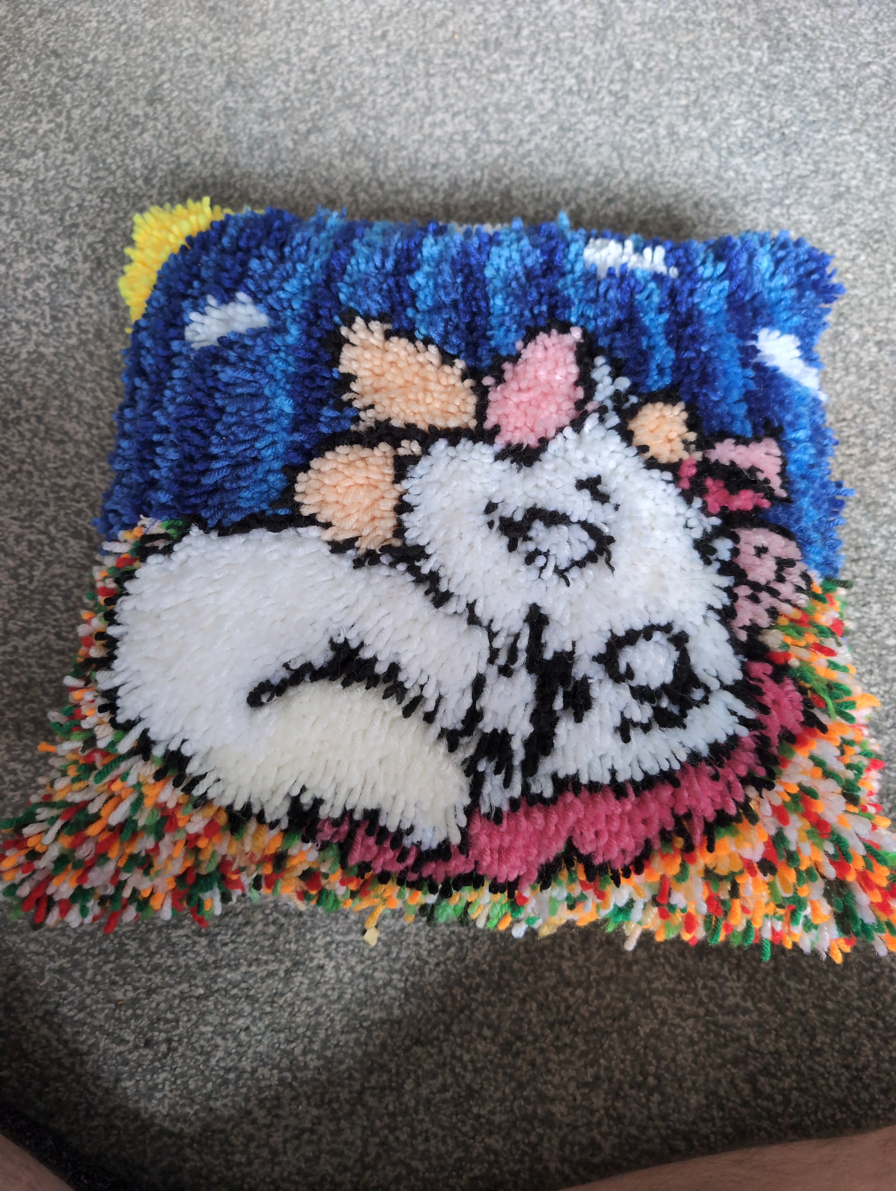 Cushion