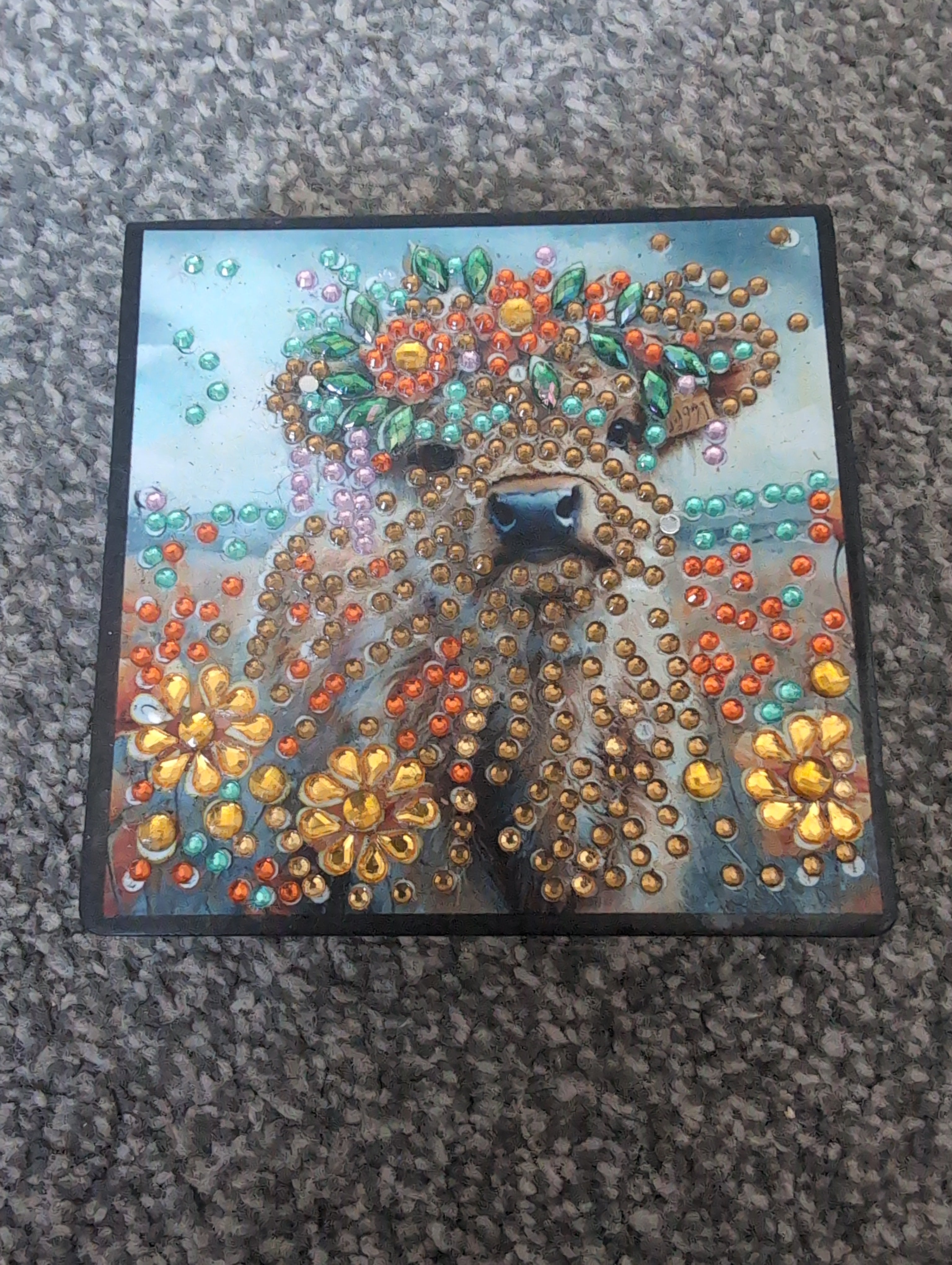 Highland cow organiser